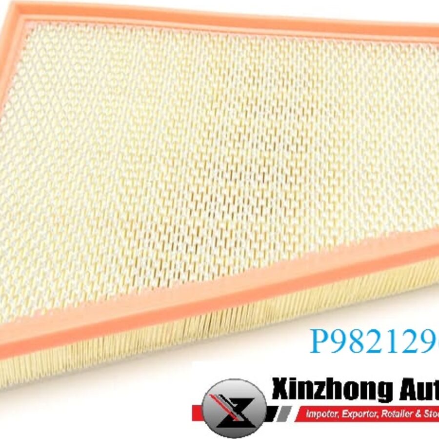 AIR FILTER (P982129620A)
